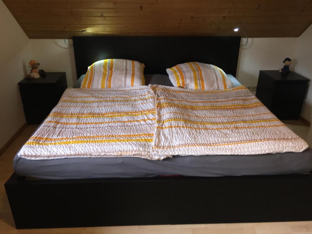 Komfortable In Der Eule *